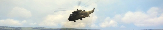 Helicopter Simulator Search an Rescue